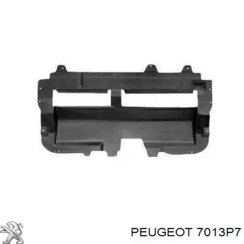 Compre 7013P7 Peugeot/Citroen Proteção de motor, de panela (da seção de motor)