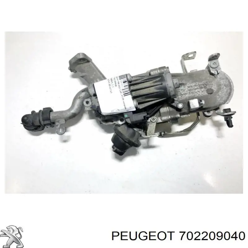 Compre 702209040 Peugeot/Citroen Válvula EGR de recirculação dos gases