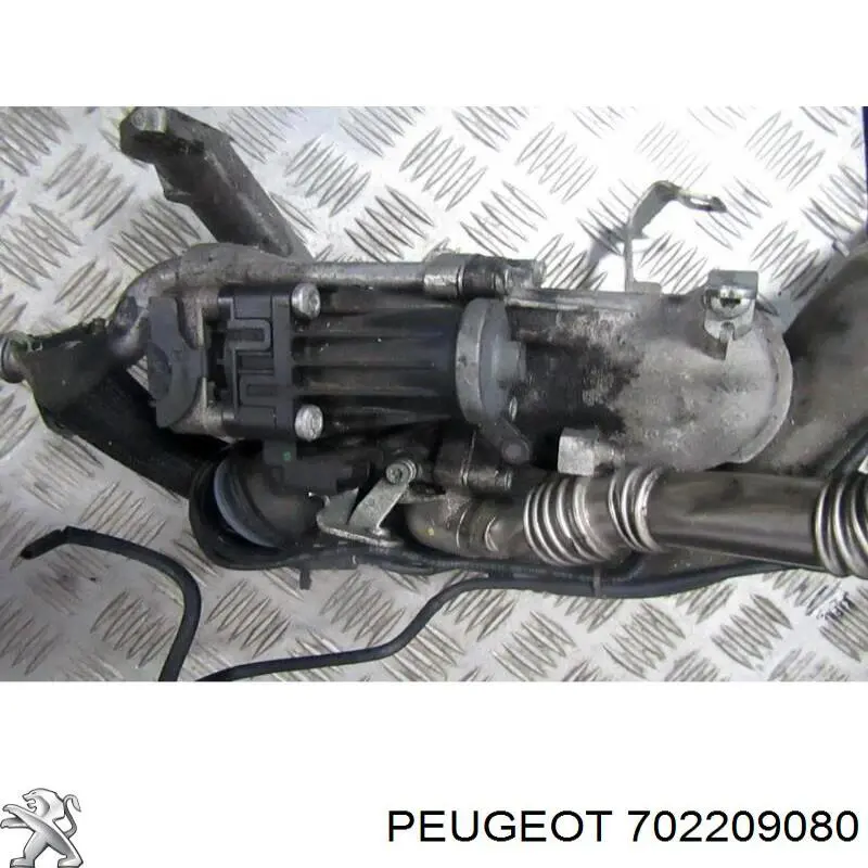 Compre 702209080 Peugeot/Citroen Válvula EGR de recirculação dos gases