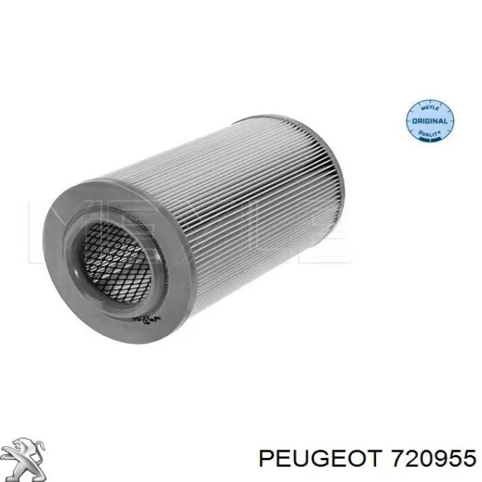 Compre 720955 Peugeot/Citroen Suporte inferior do radiador (painel de montagem de fixação das luzes)