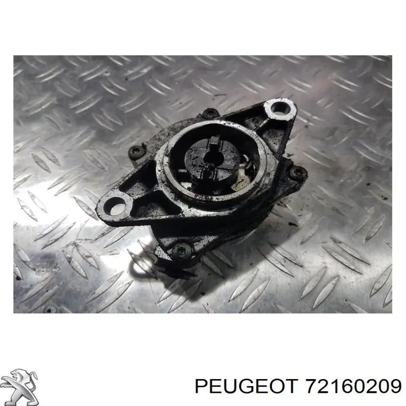  Peugeot/Citroen 72160209
