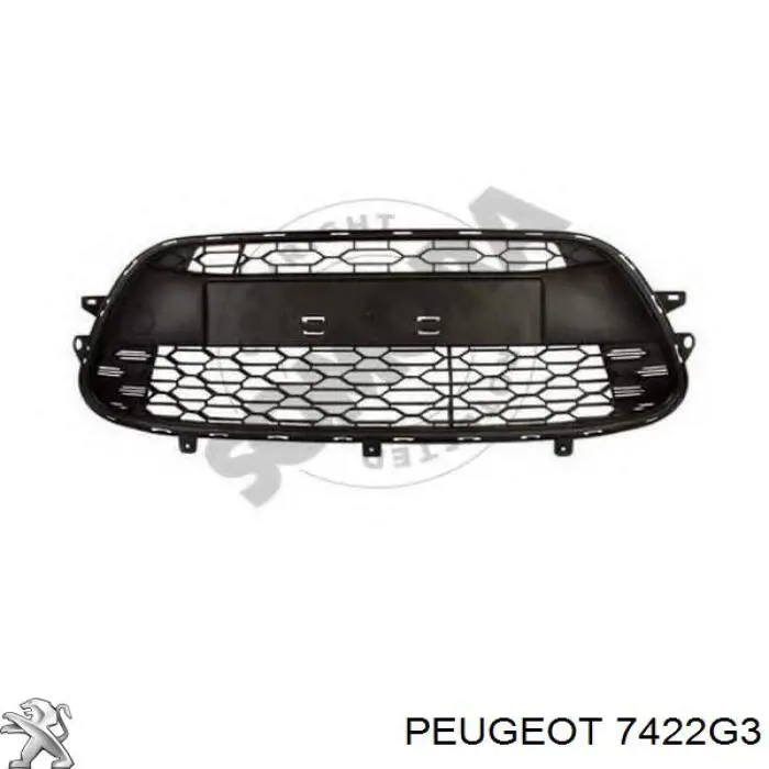 Grelha do pára-choque dianteiro Peugeot/Citroen 7422G3 preço, a partir de 71,94 USD