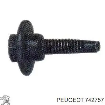 742757 Peugeot/Citroen Parafuso de fixação do pára-choque traseiro
