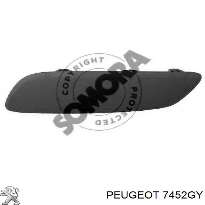 Compre 7452GY Peugeot/Citroen Moldura esquerda do pára-choque dianteiro