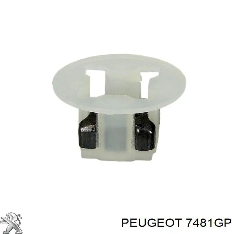 7703044101 Renault (RVI) Porca cativa para parafuso auto-roscante