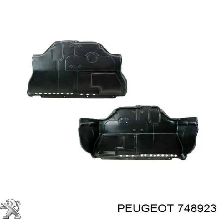 Compre 748923 Peugeot/Citroen Proteção de motor, de panela (da seção de motor)