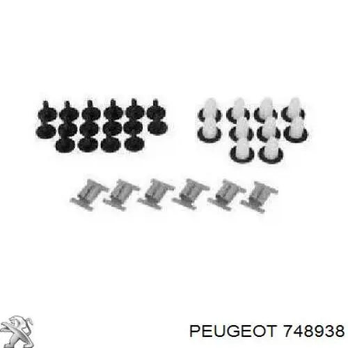 Compre 748938 Peugeot/Citroen Proteção de motor, de panela (da seção de motor)