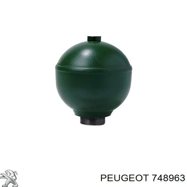 748963 Peugeot/Citroen 