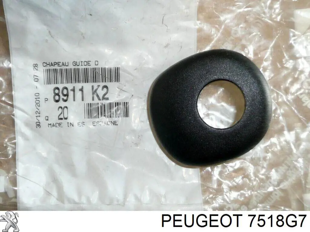 7518G7 Peugeot/Citroen 