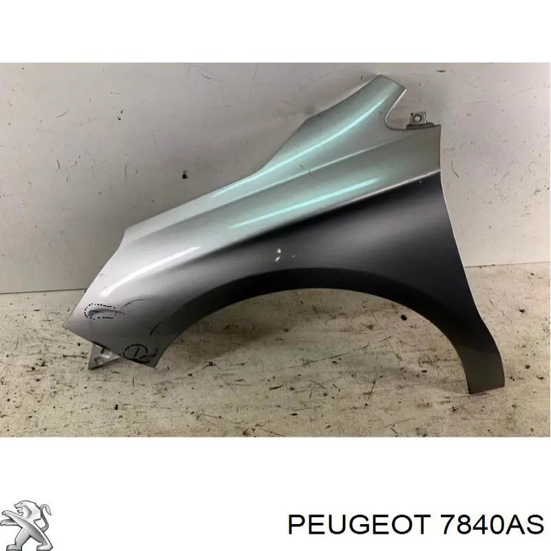 Pára-lama dianteiro esquerdo Peugeot/Citroen 7840AS preço, a partir de 146,42 USD