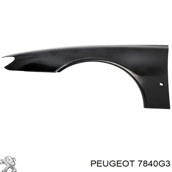 Pára-lama dianteiro esquerdo para Peugeot 406  8C