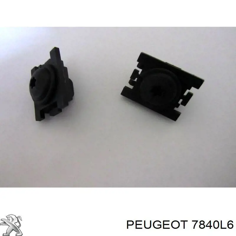 7840L6 Peugeot/Citroen Pára-lama dianteiro direito