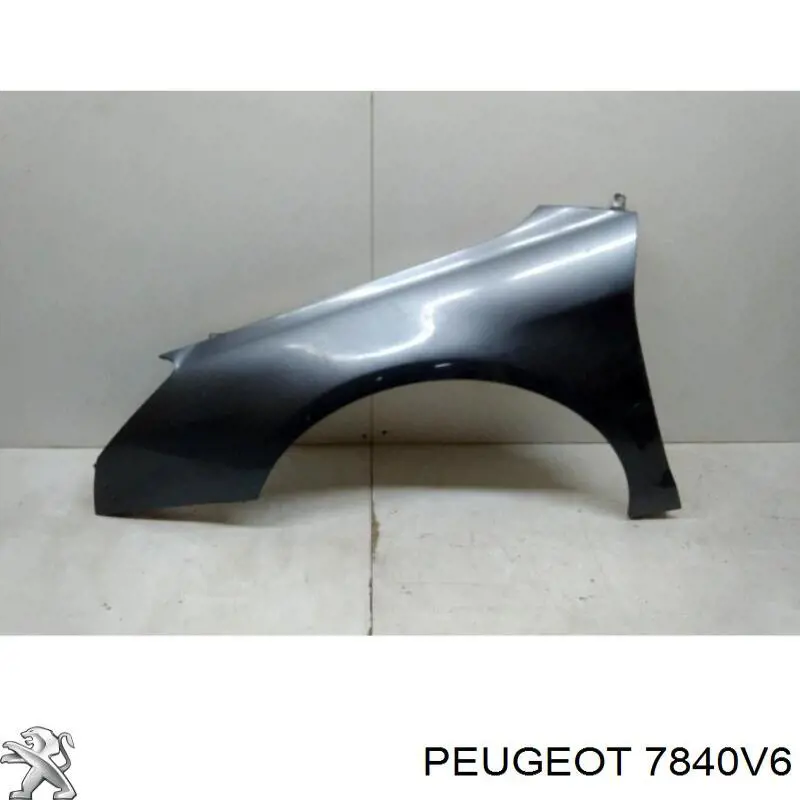 7840V6 Peugeot/Citroen Pára-lama dianteiro esquerdo