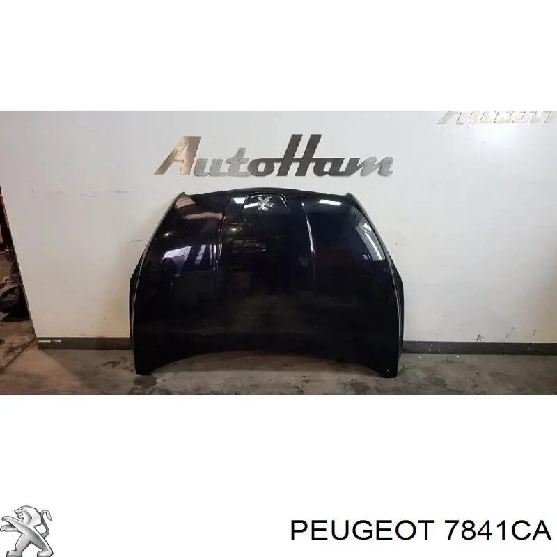 Compre 575602 Polcar Pára-lama dianteiro direito