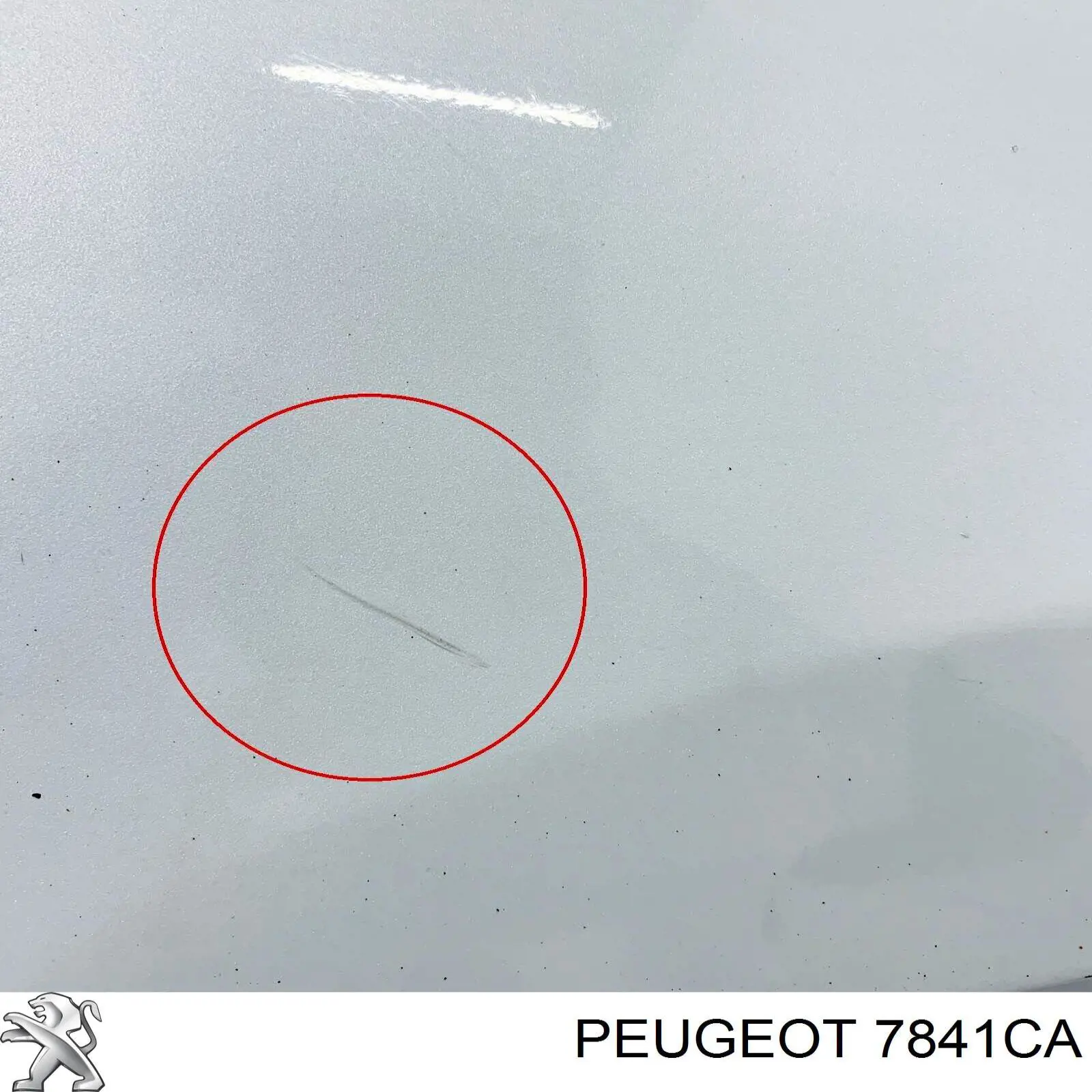 Pára-lama dianteiro direito Peugeot/Citroen 7841CA preço, a partir de 162,61 USD