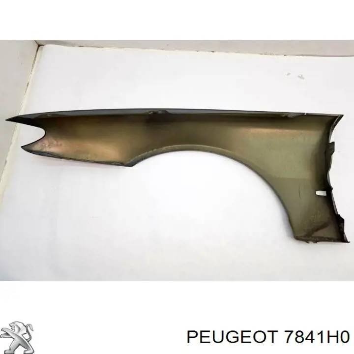 Pára-lama dianteiro direito para Peugeot 406  8C