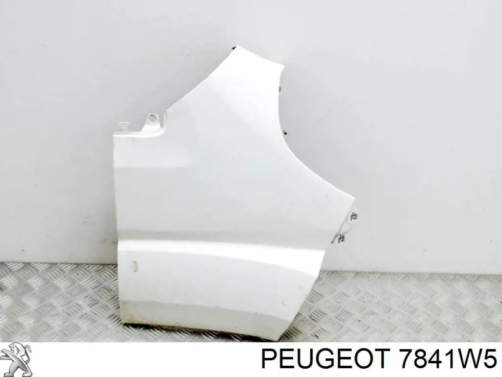 7841W5 Peugeot/Citroen Pára-lama dianteiro direito