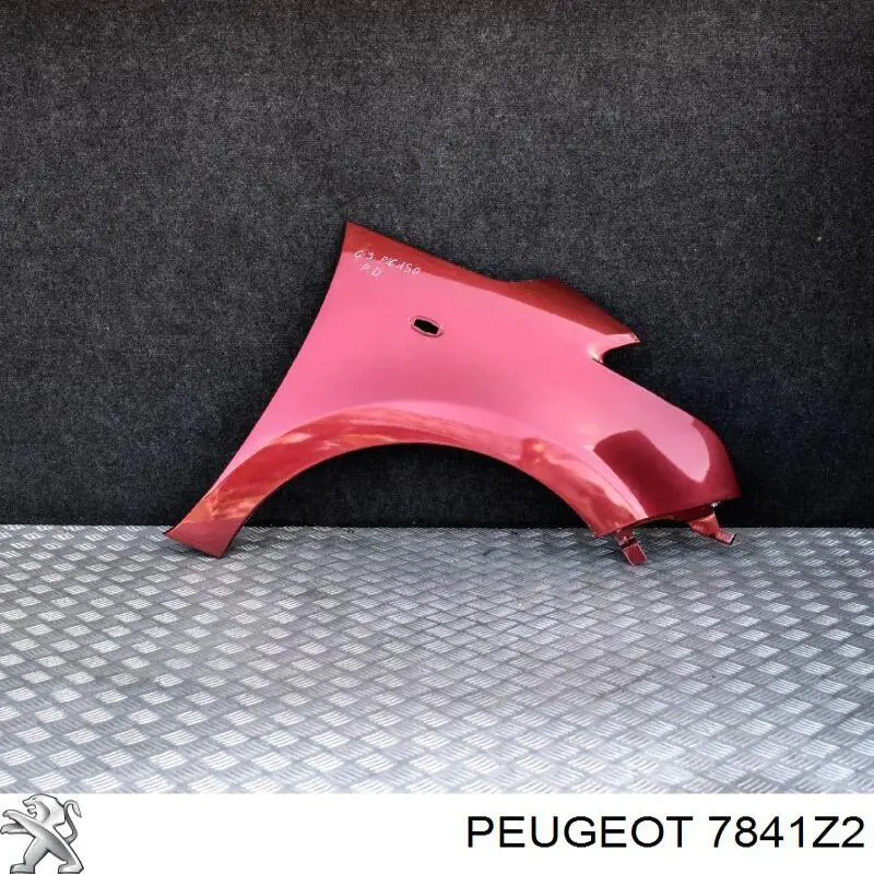 7841Z2 Peugeot/Citroen Pára-lama dianteiro direito
