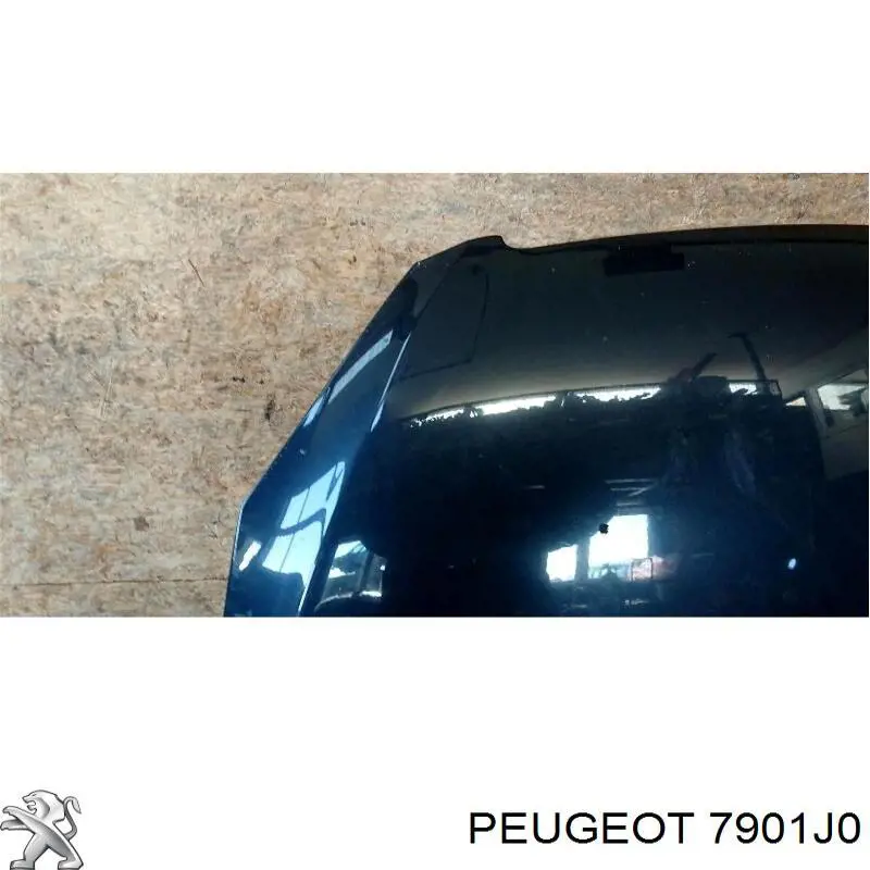 Capota Peugeot/Citroen 7901J0 preço, a partir de 151,79 USD