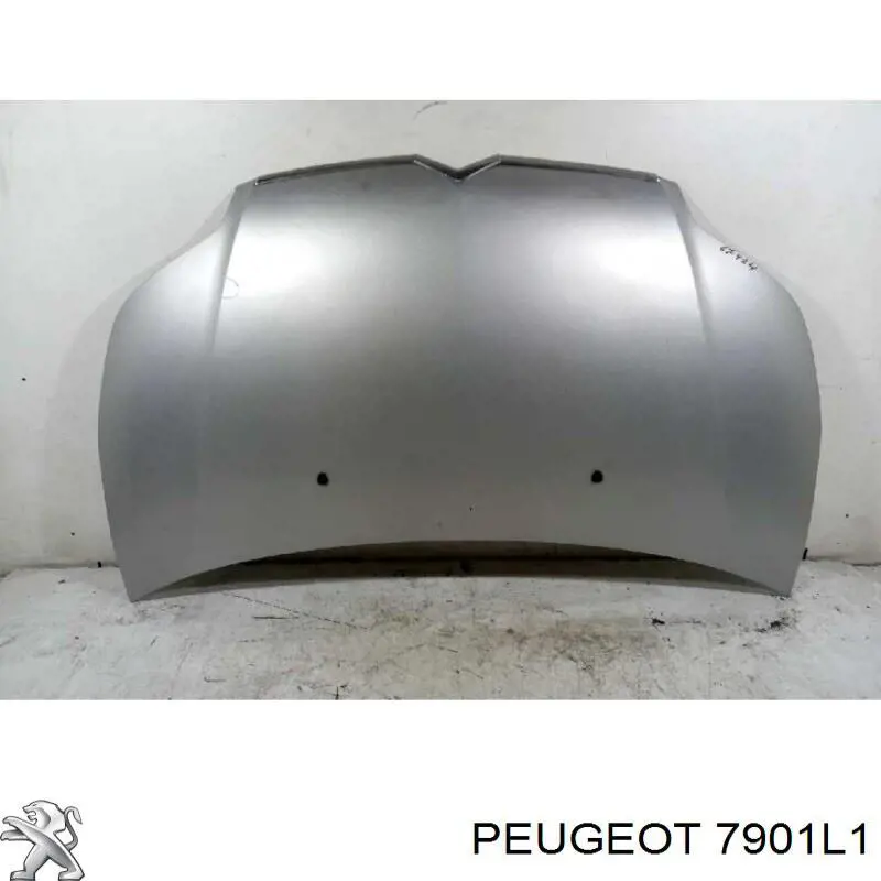 7901L1 Peugeot/Citroen Capota