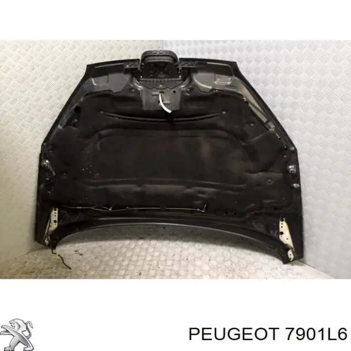 7901L6 Peugeot/Citroen Capota
