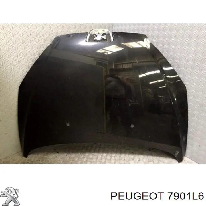 Capota Peugeot/Citroen 7901L6 preço, a partir de 302,93 USD