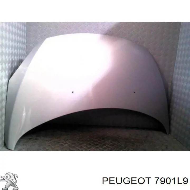 Compre 7901L9 Peugeot/Citroen Capota