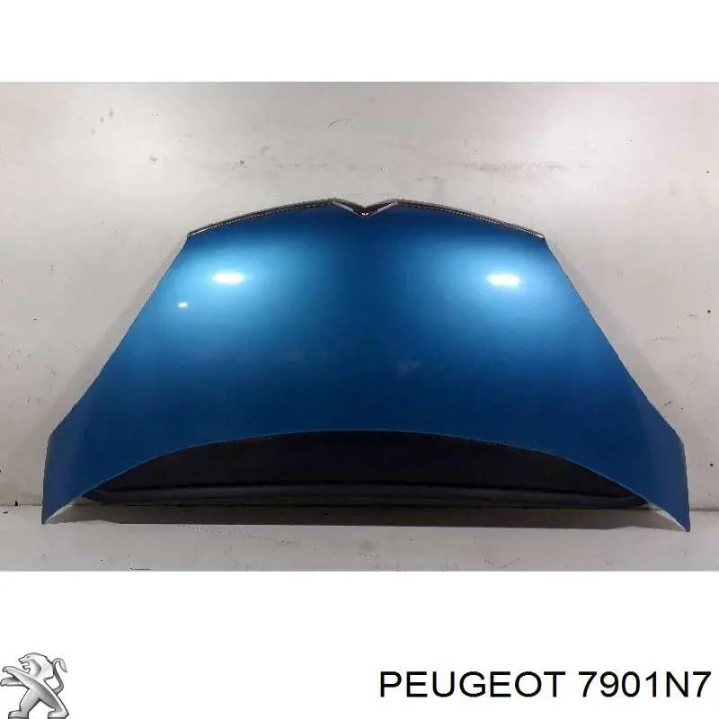 7901N7 Peugeot/Citroen Capota