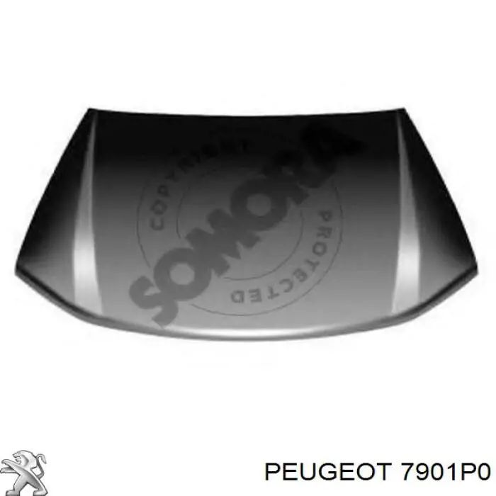 7901P0 Peugeot/Citroen Capota