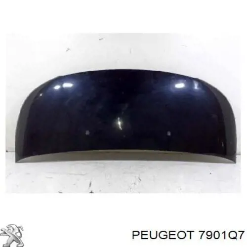 7901Q7 Peugeot/Citroen Capota