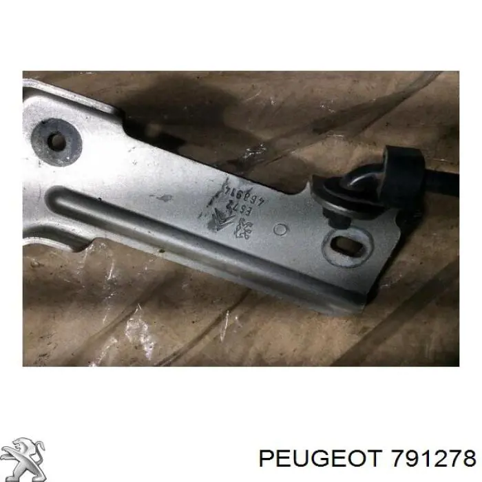 Compre 791278 Peugeot/Citroen Gozno da capota esquerdo