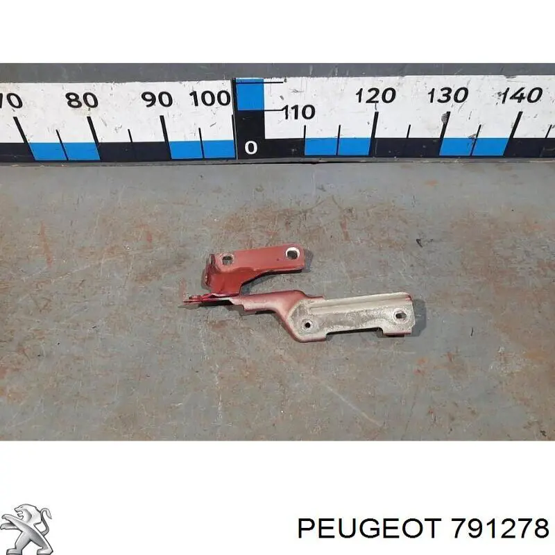791278 Peugeot/Citroen Gozno da capota esquerdo