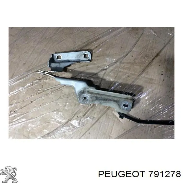 Gozno da capota esquerdo Peugeot/Citroen 791278 preço, a partir de 73,21 USD