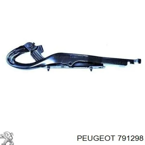 791298 Peugeot/Citroen Gozno da capota direito