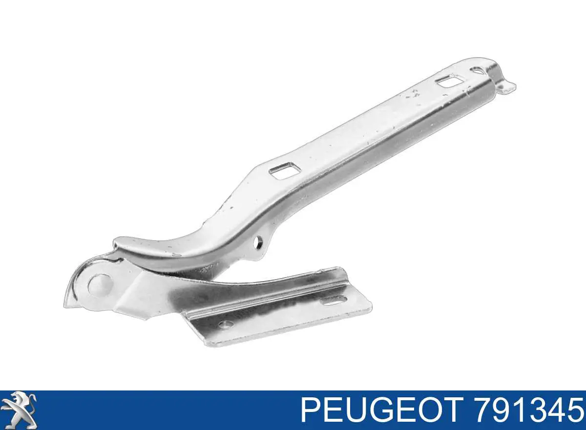 791345 Peugeot/Citroen Gozno da capota direito