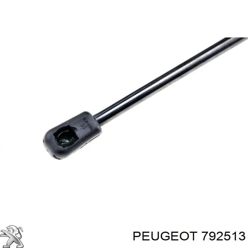 792513 Peugeot/Citroen Amortecedor da capota