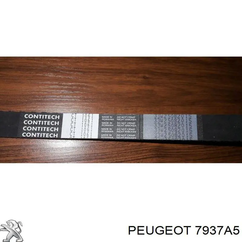 Cabo de abertura da capota Fiat/Alfa/Lancia 1305671080 preço, a partir de 11,91 USD