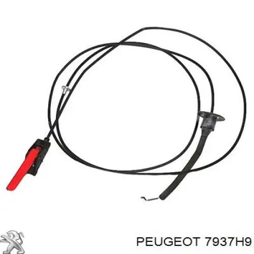 Cabo de abertura da capota Peugeot/Citroen 7937H9 preço, a partir de 93,54 USD