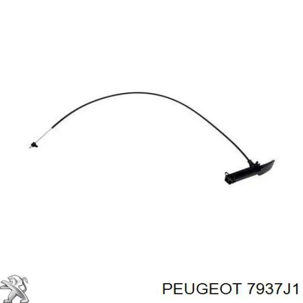 Cabo dianteiro de abertura da capota Peugeot/Citroen 7937J1 preço, a partir de 15,13 USD