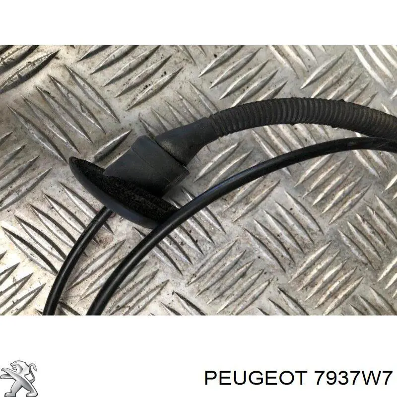 Cabo de abertura da capota Peugeot/Citroen 7937W7 preço, a partir de 54,57 USD