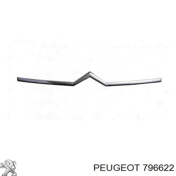 Placa sobreposta (carcaça) de grelha do radiador Peugeot/Citroen 796622 preço, a partir de 74,40 USD