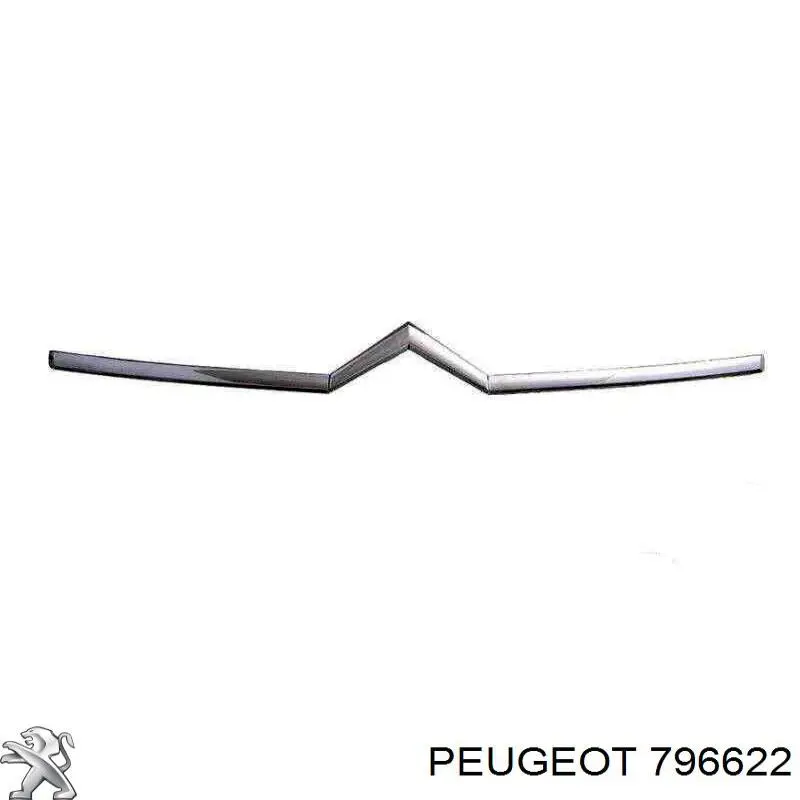 796622 Peugeot/Citroen Placa sobreposta (carcaça) de grelha do radiador
