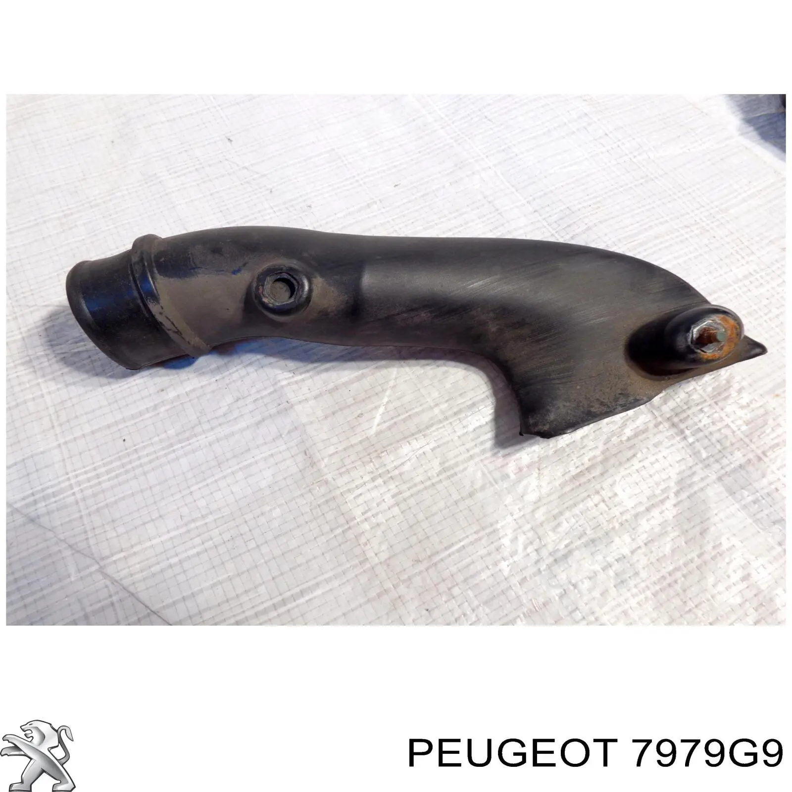 Grelha da capota Peugeot/Citroen 7979G9 preço, a partir de 324,99 USD