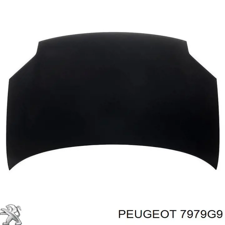 7979G9 Peugeot/Citroen Grelha da capota