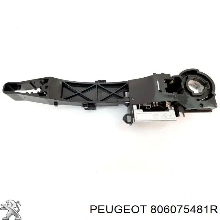 8261000Q0A Renault (RVI) Suporte de maçaneta externa da porta dianteira esquerda