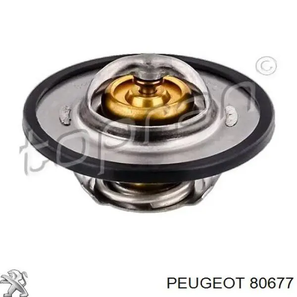 Parafuso da engrenagem da árvore distribuidora Peugeot/Citroen 80677 preço, a partir de 2,94 USD