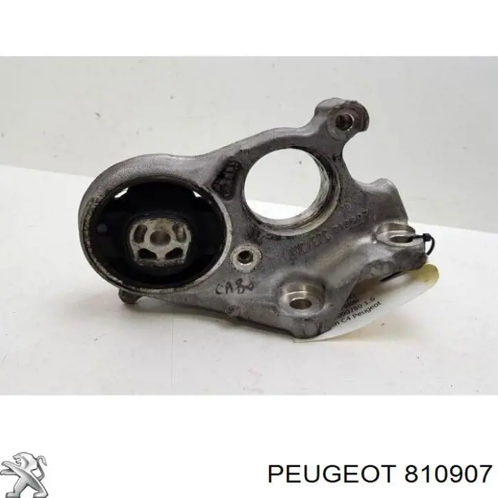  810907 Peugeot/Citroen