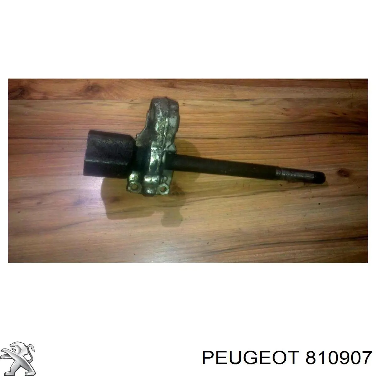 810907 Peugeot/Citroen 