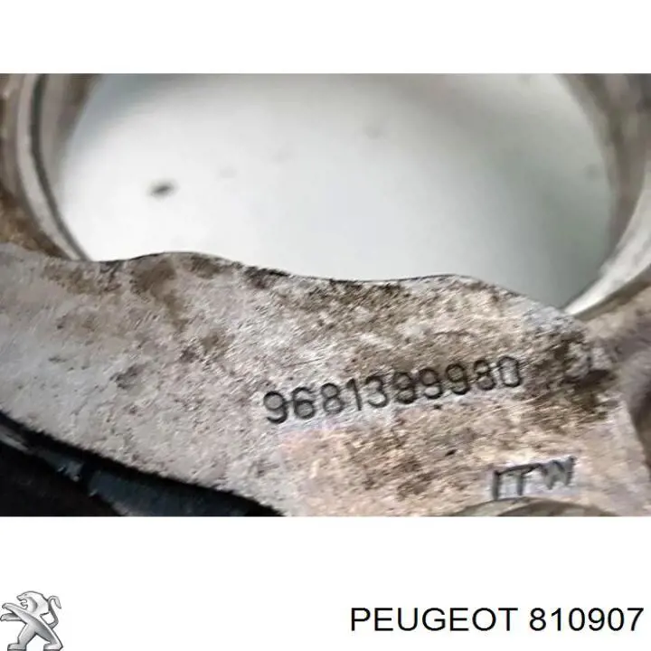 Peugeot/Citroen 810907