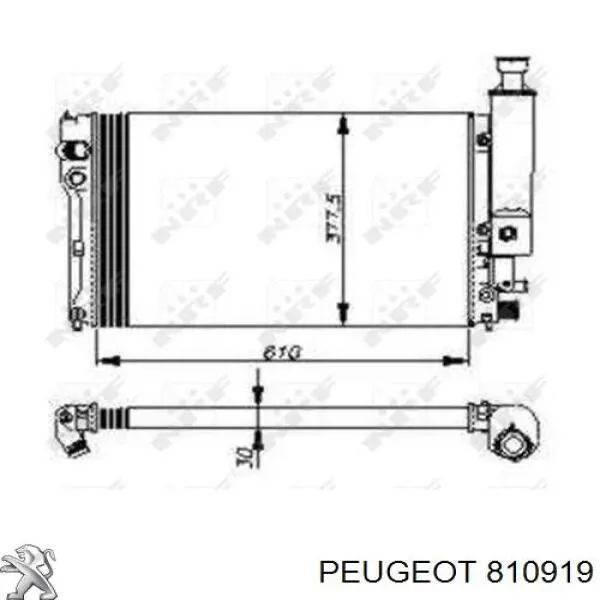810919 Peugeot/Citroen 